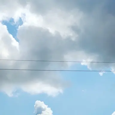 Profile image of 카운터