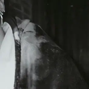 VIPG.Y.D의 대길전무