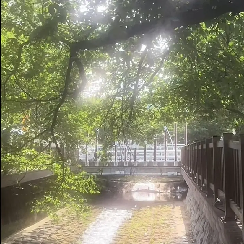 MiniJade9850의 중증 유치원