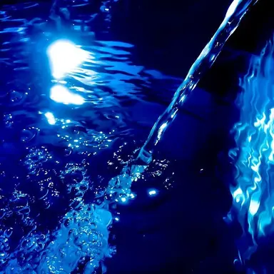 Profile image of 행크