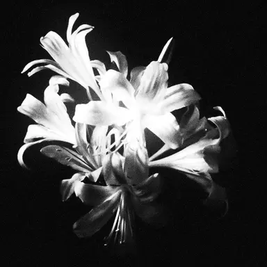 Profile image of 우융