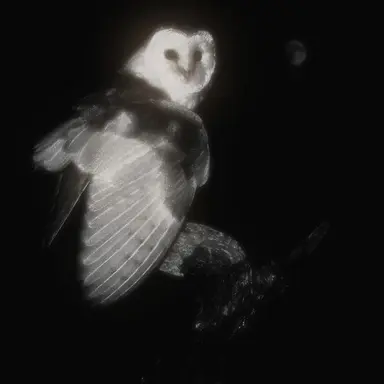 Profile image of 시미베