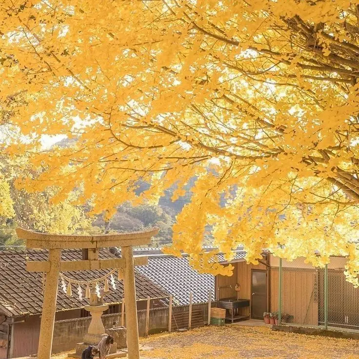 I_LOVE_SUHYEN의 0423