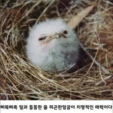 Profile image of 윈터 솔저