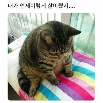 Profile image of 헐크