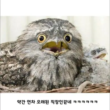 Profile image of 스파이더맨
