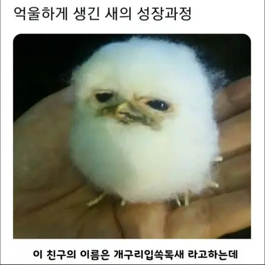 Profile image of 아이언맨