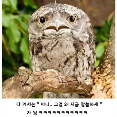 Profile image of 캡틴 아메리카