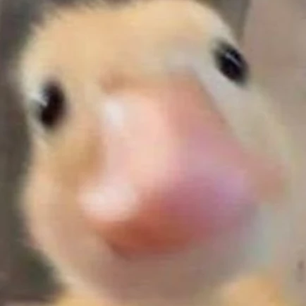 윤히안