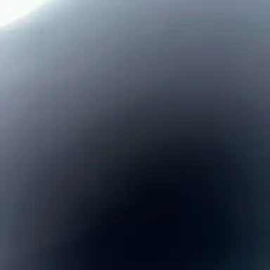 Profile image of 김운 학