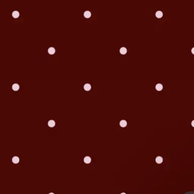 Profile image of 舜太