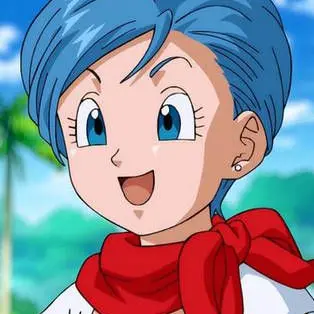 Profile image of ブルマ