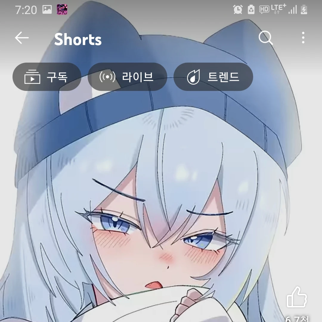 타코