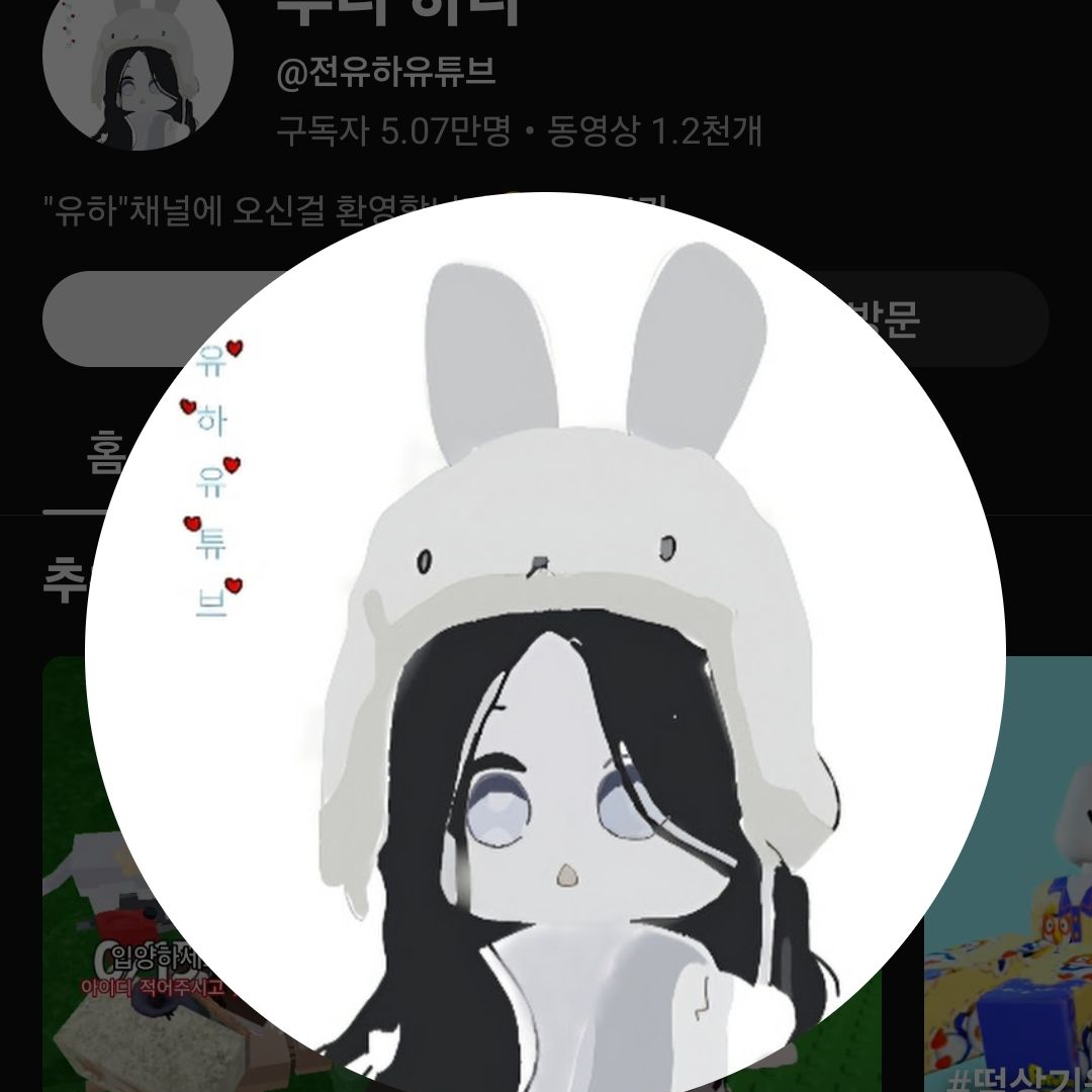전유하 유튜브 나락 해명 대표 이미지