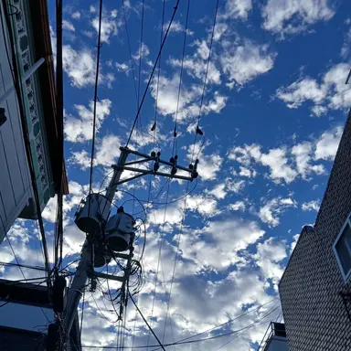 Profile image of 고고프렌즈 팀나빠