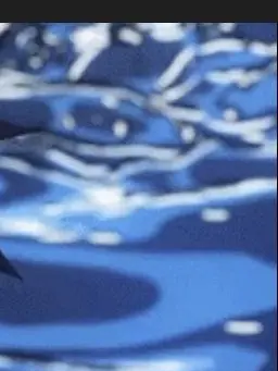 1628492048의 오비스트+여우^^년새끼(바다+누명)