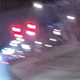 Profile image of 튤립