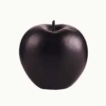 Namutjeongmin10132의 쉬머가기 및 사과와 대화하기!