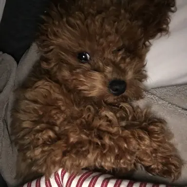 Profile image of 이동혁