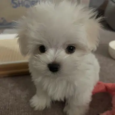 Profile image of 김나경