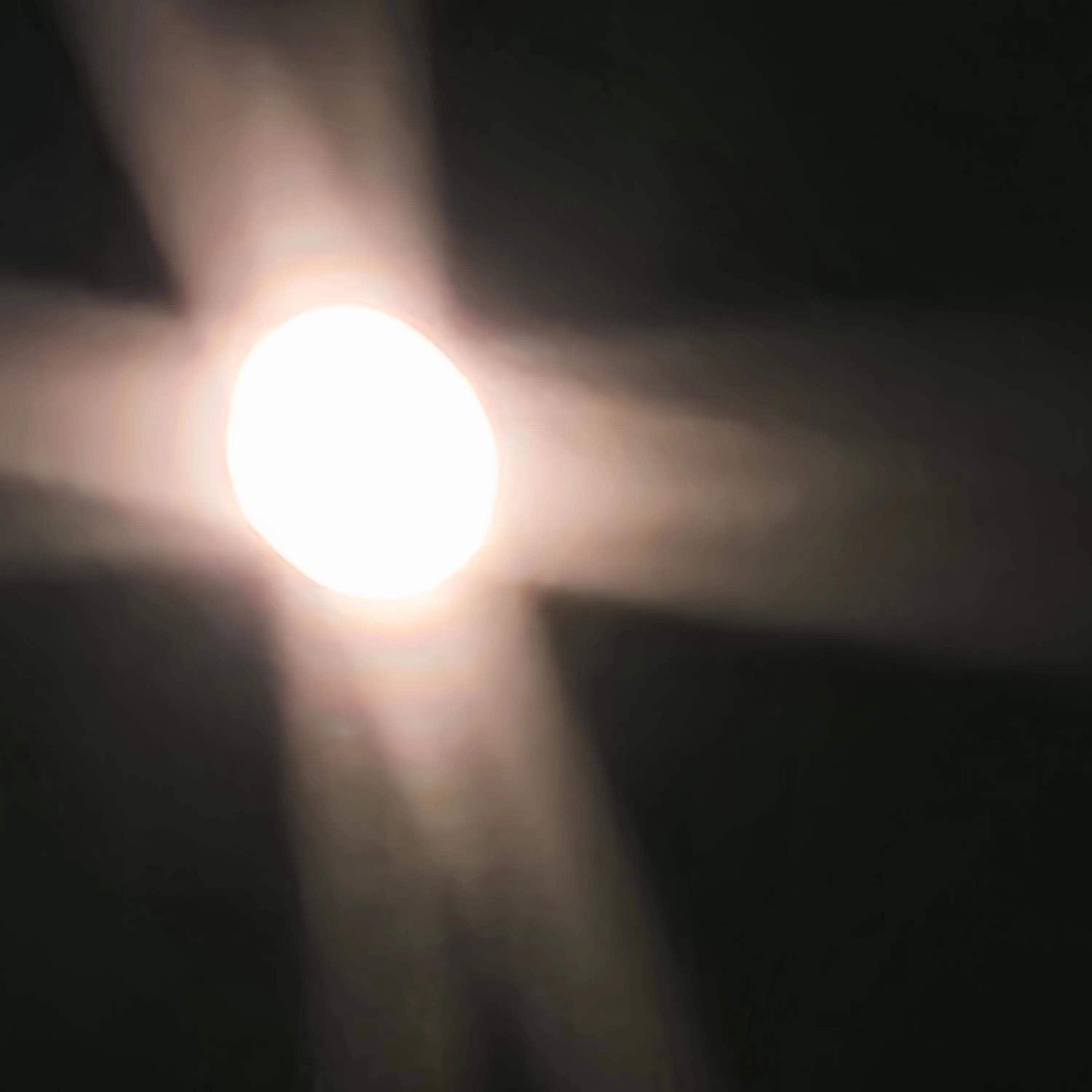 RowdyBeago6466의 스토커