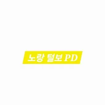 Profile image of 노랑 털보 PD