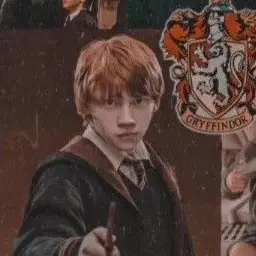 Profile image of Ron