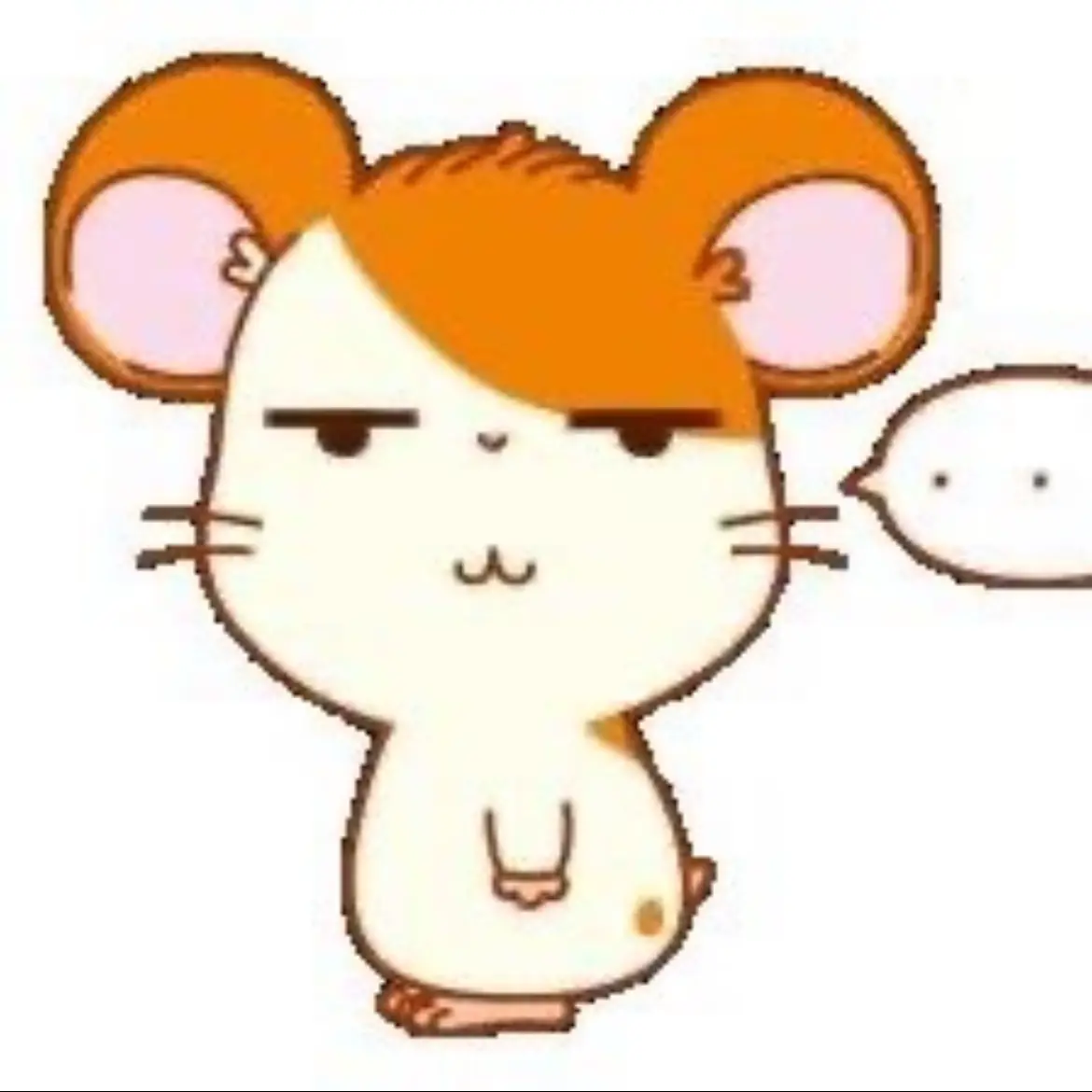 dachobbi의 박재식