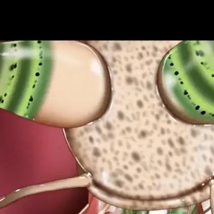 kyogre의 레우코클로리디움 파라독섬