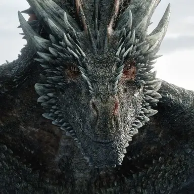 Profile image of Drogon