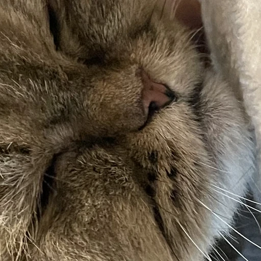 이지훈