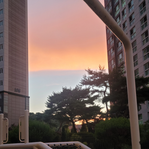김한솔 대표 이미지
