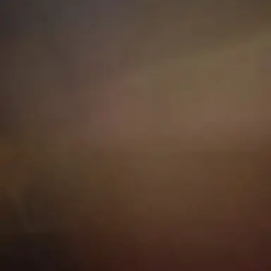 Profile image of 지원