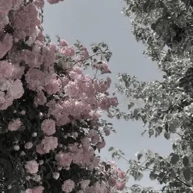 Profile image of 赤城ウェン