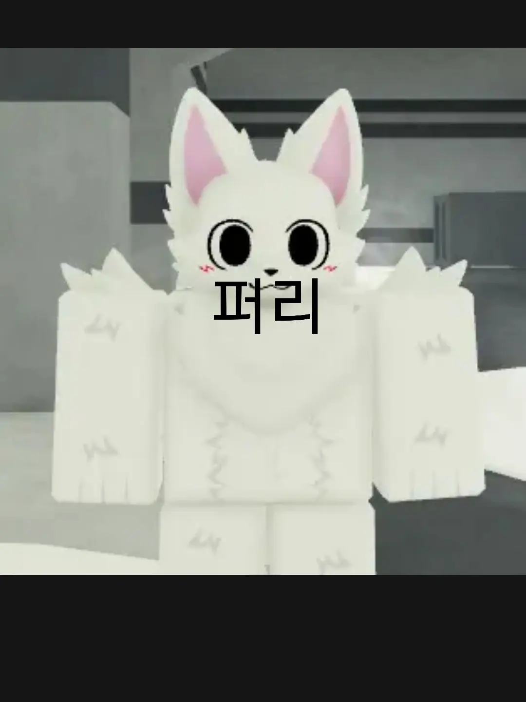 WiryBench1148의 모피아웃(?)