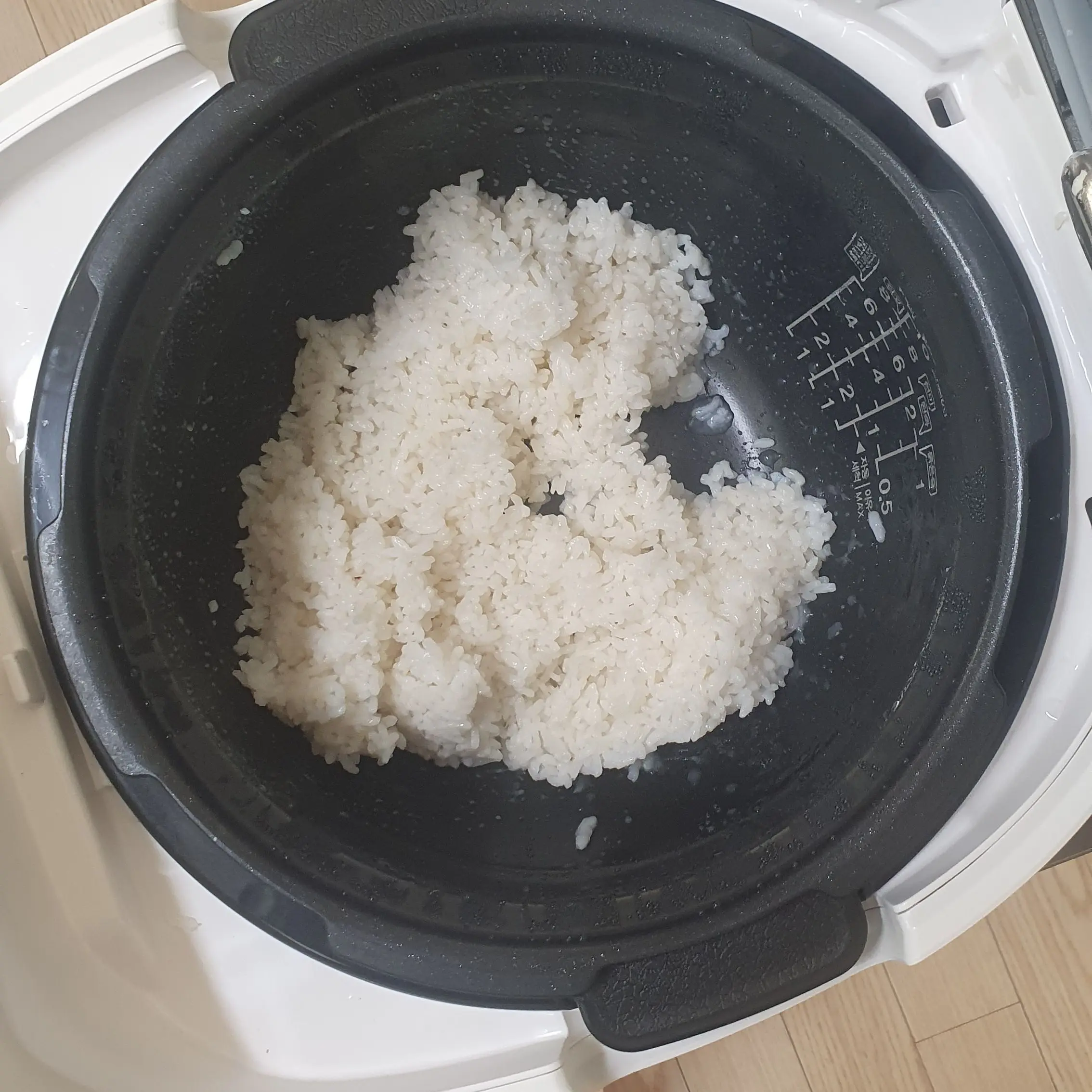 BrightCart4634의 켄타우로스-금붕어 제국