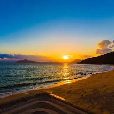 Profile image of ペイン