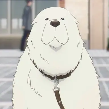 Profile image of ボンド・フォージャー