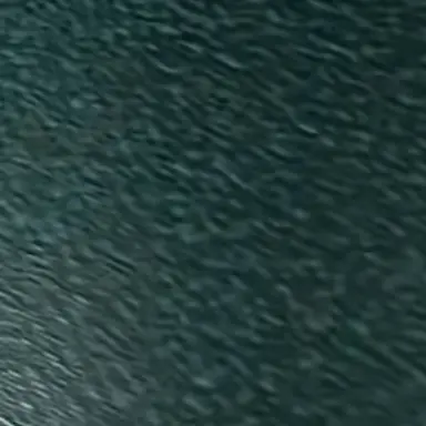 Profile image of 진우