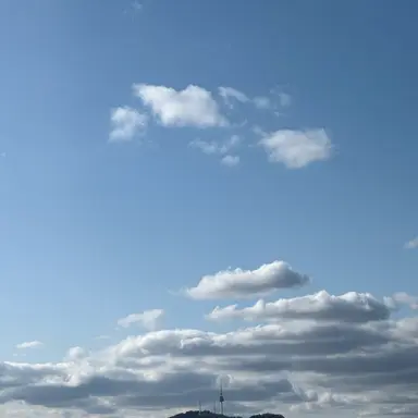 Profile image of 유세희