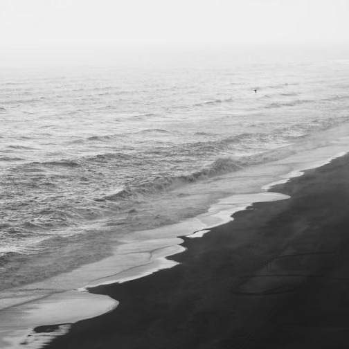 Hiding sand 대표 이미지