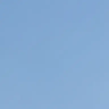 Profile image of 박잠뜰