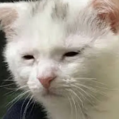 Profile image of 선생님