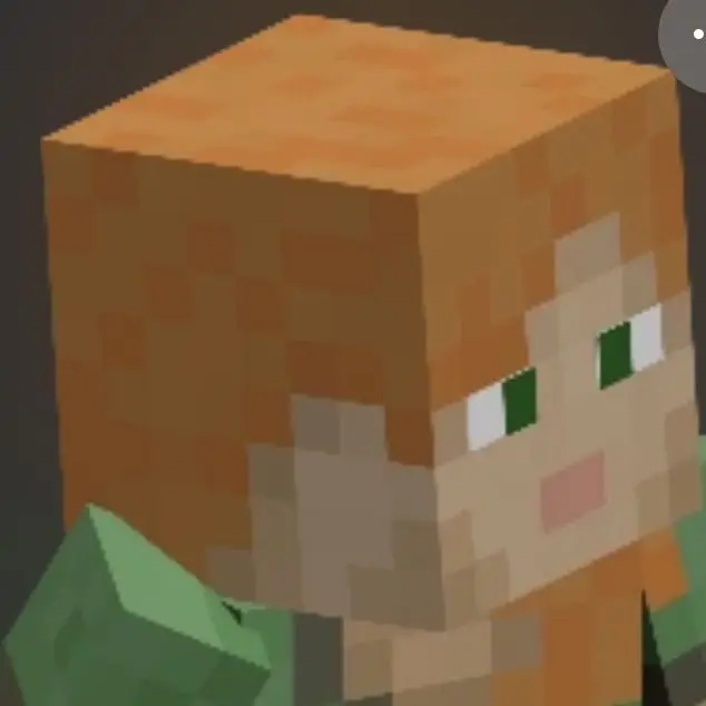 TrueCan5247의 マイクラでトッモaと遊ぶ［2b2t］