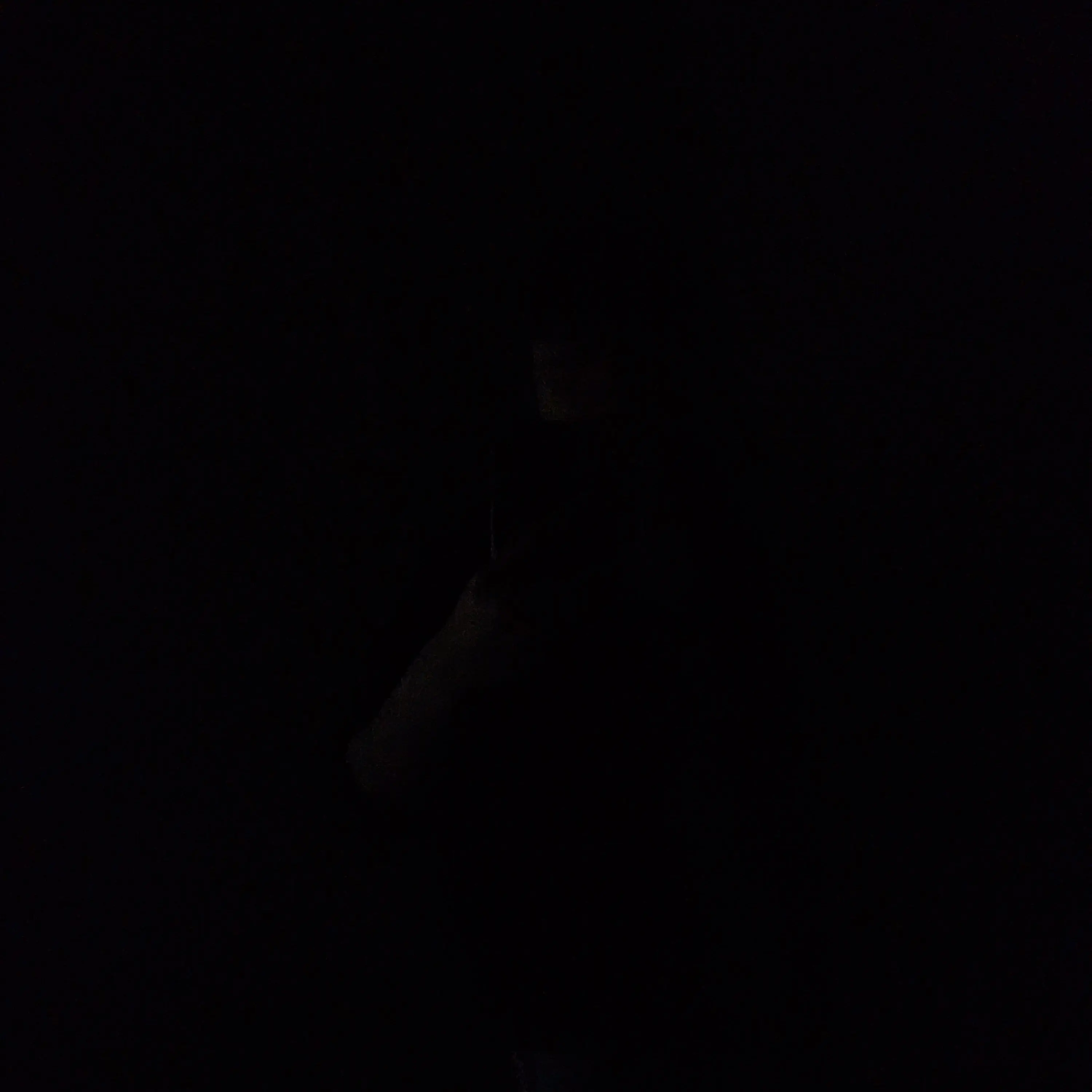 CruelDorgi5194의 너무 완벽한 친오빠