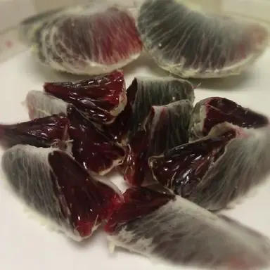 Profile image of Cyrus