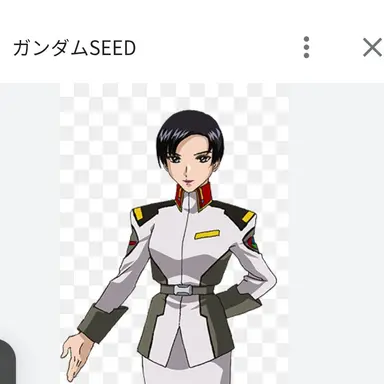 Profile image of ナタル・バジルール