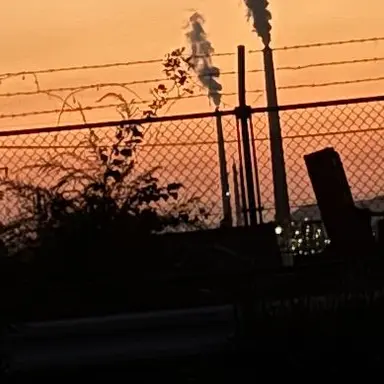 Profile image of 藤澤 涼架