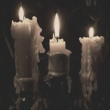Profile image of 스펙터