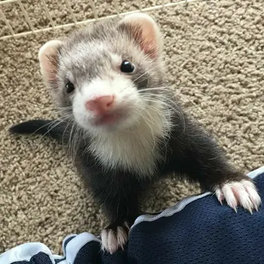 Profile image of ヒョンジナ